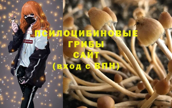 крисы Белокуриха