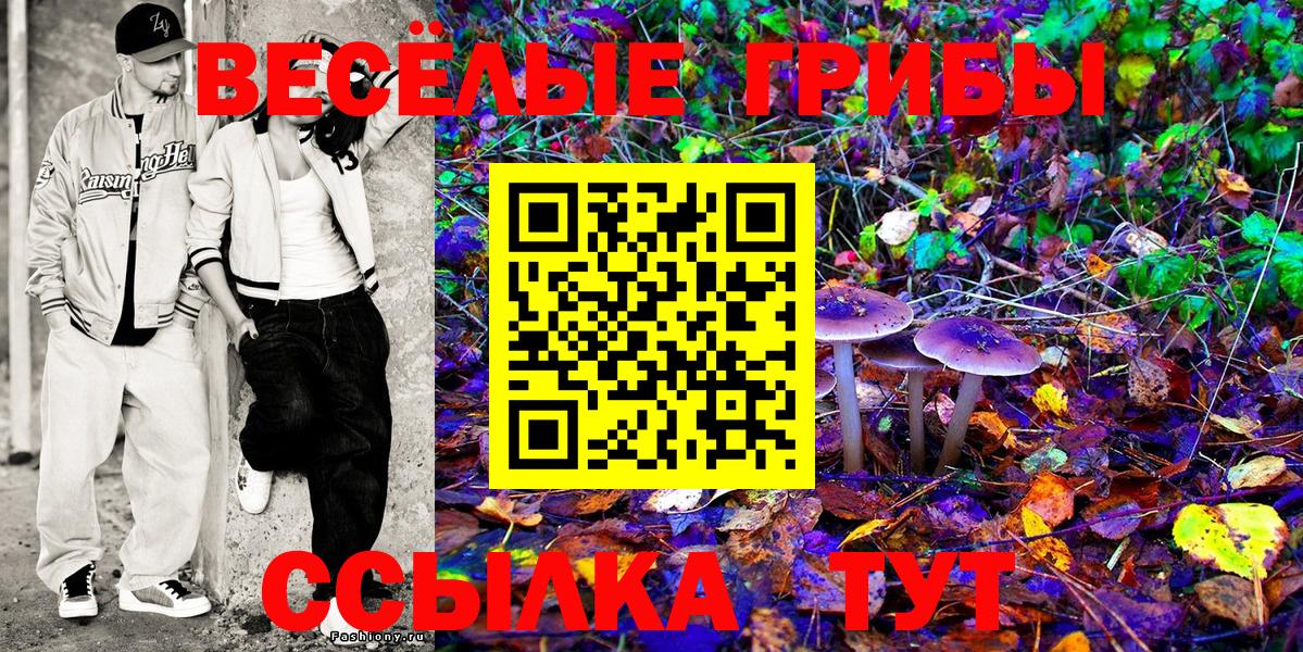 Псилоцибиновые грибы Psilocybe  Вход с VPN  Галлюциногенные грибы Cubensis  магазин  наркотиков  Маркс 