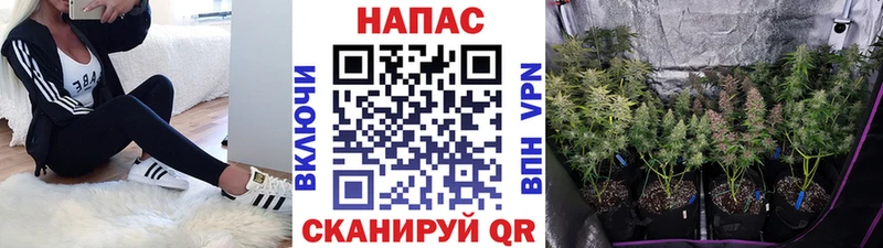 Канабис ГИДРОПОН Маркс